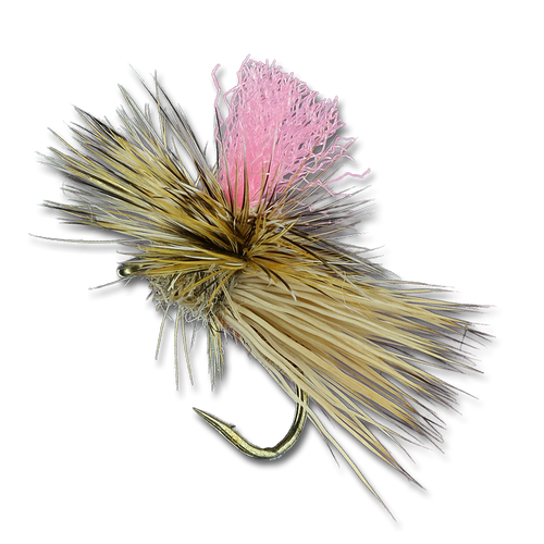 Bloom's Para Caddis