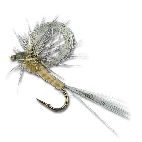 Norman's Loopwing - Callibaetis #16
