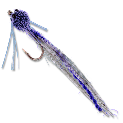 Burk's Adult Damsel - #10