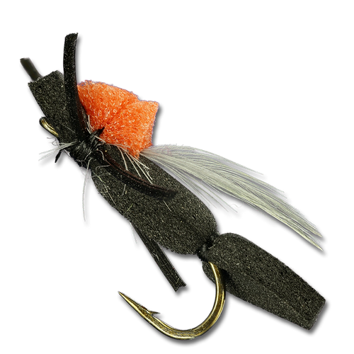 Carl's Foam Ant