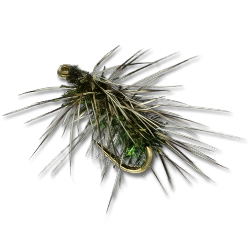 Griffith's Gnat