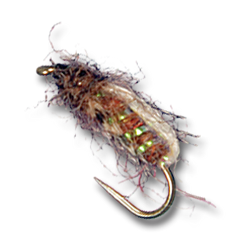 Bubbleback Caddis - #14