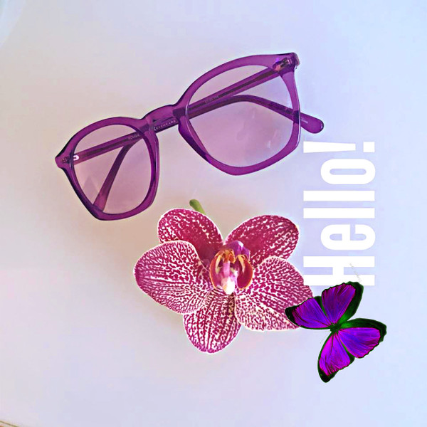 GEEK COUTURE 4 Sunglasses Purple GEEK COUTURE 4 Sunglasses Purple