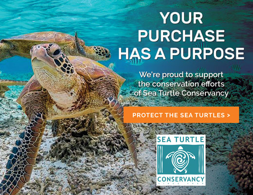 Sea Turtle Conservancy Sea Turtle Conservancy