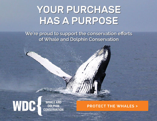 Support the Whale and Dolphin Conservation Efforts Your Purchase has a Purpose