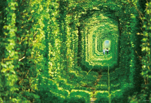 Beverly Jigsaw Puzzle 51-215 Tunnel of Love Klevan Ukraine (1000 Pieces)