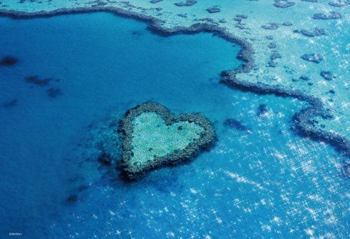 Beverly Jigsaw Puzzle 73-192 Heart Reef Island (300 Pieces)