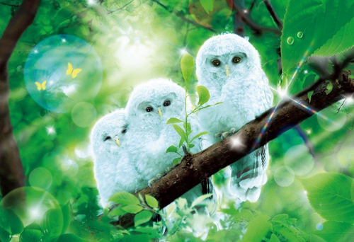 Beverly Jigsaw Puzzle M81-534 Fantasy Art Owls (1000 S-Pieces)