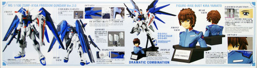 Bandai MG 163787 GUNDAM Dramatic Combination MG Freedom Gundam Ver.2.0 & Figure-Rise Bust KIRA YAMATO 1/100 scale kit
