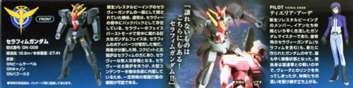 Bandai HG OO 37 GN-009 SERAPHIM GUNDAM 1/144 scale kit