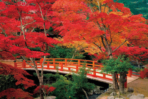 Epoch Jigsaw Puzzle 23-597 Autumn Leaves Momijidani Park Miyajima Hiroshima Japan (2016 S-Pieces)