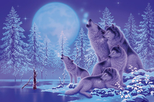Epoch Jigsaw Puzzle 12-053 Kentaro Nishino Wolf Family (1000 Pieces)