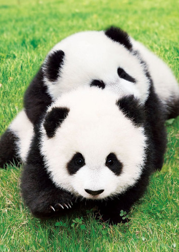 Epoch Jigsaw Puzzle 01-060 Good Friends Panda (108 Pieces)