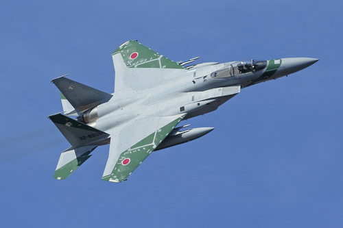 Fujimi 311180 F-15J Tactical Fighter Training Group Aggressor Squadron 908 1/48 scale kit