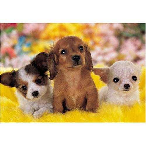 Epoch Jigsaw Puzzle 25-070S Three Dogs (300 Pieces)