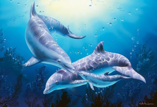Epoch Jigsaw Puzzle 08-305 Lassen Dolphin (450 S-Pieces)