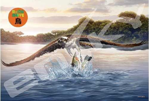Ensky Jigsaw Puzzle 108-L599 Fish Hawk Osprey (108 L-Pieces)