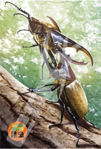 Ensky Jigsaw Puzzle 108-L598 Hercules Beetle (108 L-Pieces)