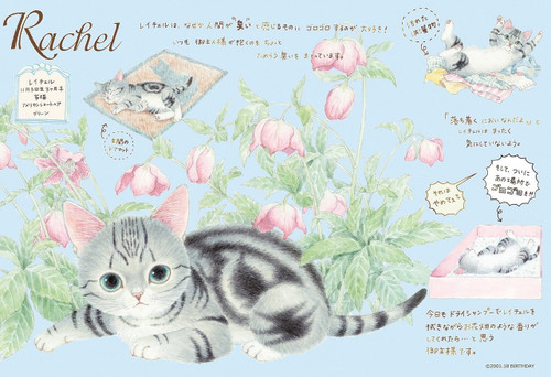 Epoch Jigsaw Puzzle 26-278 Cat Town Neargo Rachel (300 Pieces)