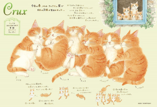 Epoch Jigsaw Puzzle 26-277 Cat Town Neargo Crux (300 Pieces)