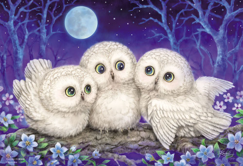 Beverly Jigsaw Puzzle 33-153 Cute Animals Owl Triplets (300 Pieces)