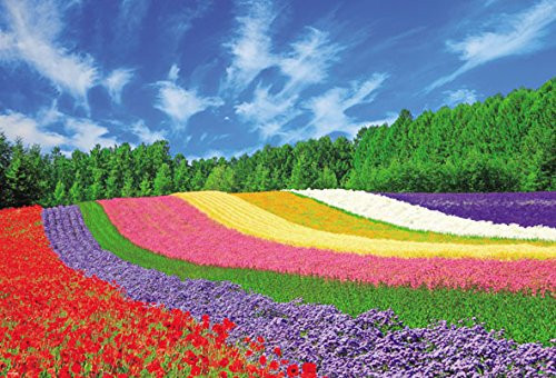 Beverly Jigsaw Puzzle 51-244 Furano Flowers Hokkaido Japan (1000 Pieces)