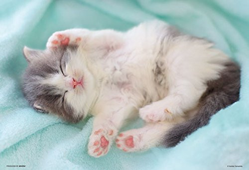 Beverly Jigsaw Puzzle P33-157 Pet Cat Nap Time (300 Pieces)