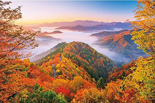 APPLEONE Jigsaw Puzzle 1000-826 Onyu Valley Sea of Clouds Shiga Japan (1000 Pieces)