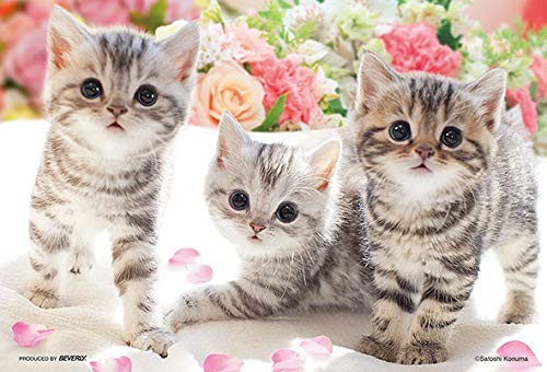 Beverly Jigsaw Puzzle M108-206 Pretty Pet Kitty Cats (108 S-Pieces)