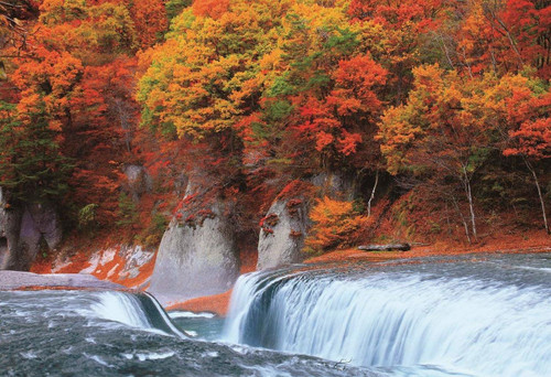 Epoch Jigsaw Puzzle 25-170 Autumn Leaves Fukiware Fall Gumma (300 Pieces)