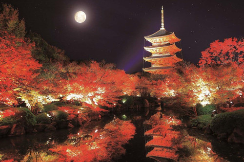 Epoch Jigsaw Puzzle 10-802 Autumn Toji Five-Storied Pagoda Kyoto Japan (1000 Pieces)