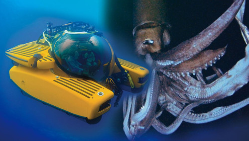 Aoshima 09604 Deep Sea Explorer Series No. 01 Submarine TRITON 1/48 Scale Kit
