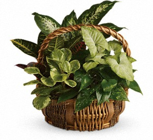 Emerald Garden Basket Emerald Garden Basket