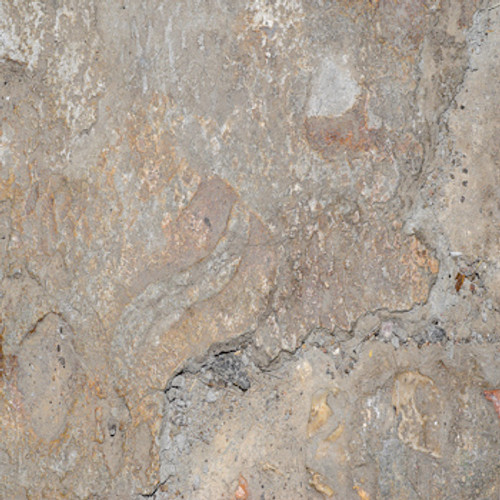Gray Swirl Cement Floor