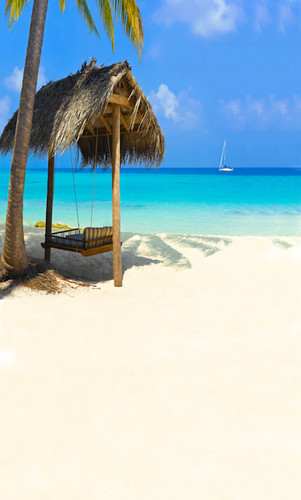 Beachside Swing Backdrop