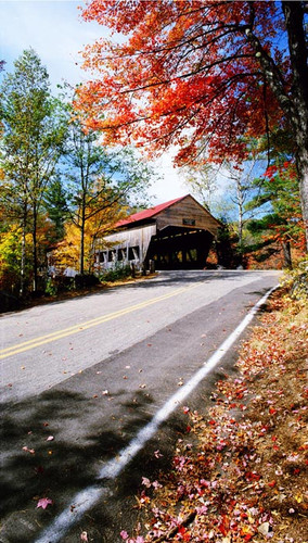Autumn Covered Bridge Backdrop