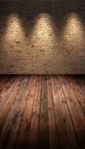 Stone Wall Spotlight Backdrop