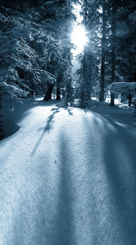 Magical Snowfall Backdrop