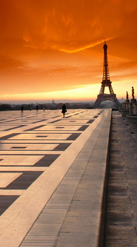 Paris At Sunset Backdrop