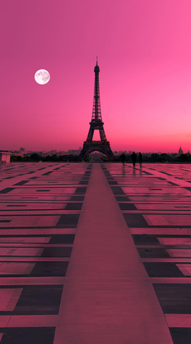 Rose Colored Paris Backdrop