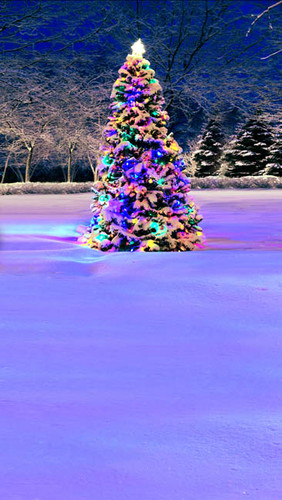 Glowing Tree Backdrop