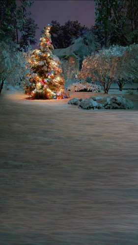 Twilight Tree Backdrop