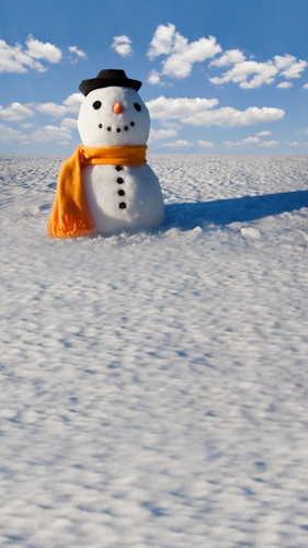 Happy Snowman Backdrop