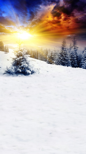Christmas Sunrise Backdrop