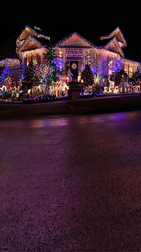 Christmas Lights Backdrop