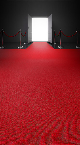 Red Carpet Entrance Backdrop