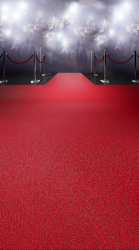 Red Carpet Paparazzi Backdrop