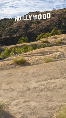 Hollywood Sign Backdrop