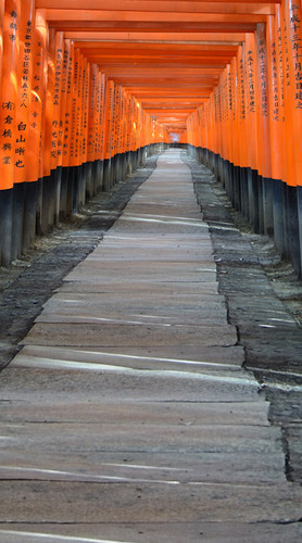 Japanese Passage Backdrop