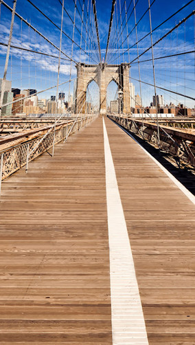 Manhattan Bridge Backdrop